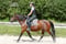 Annuncio cavallo
