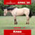 Horse ad