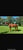 Horse ad