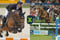 Annuncio cavallo