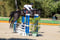 Annuncio cavallo