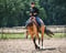 Annuncio cavallo