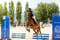Horse ad