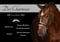 Horse ad