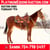 Horse ad