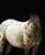 Annuncio cavallo