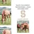 Horse ad