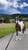 Annonce cheval
