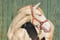 Horse ad