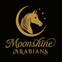 Katherina Jeannette Frey