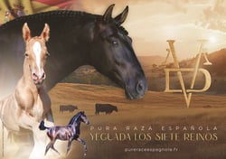 Yeguada Los Siete Reinos