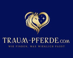 Traum Pferde