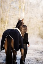 myhorsesinternational, Locatie Gelderland, NL +31620046562