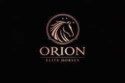 Orion Elite Horses
