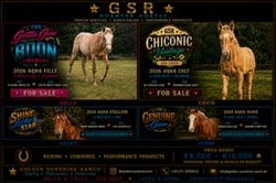 Jessica und Stephanie Oelkers GbR, GoldenSunshineRanch