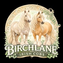 Birchlane Farm Irish Cobs And Miniature Horses