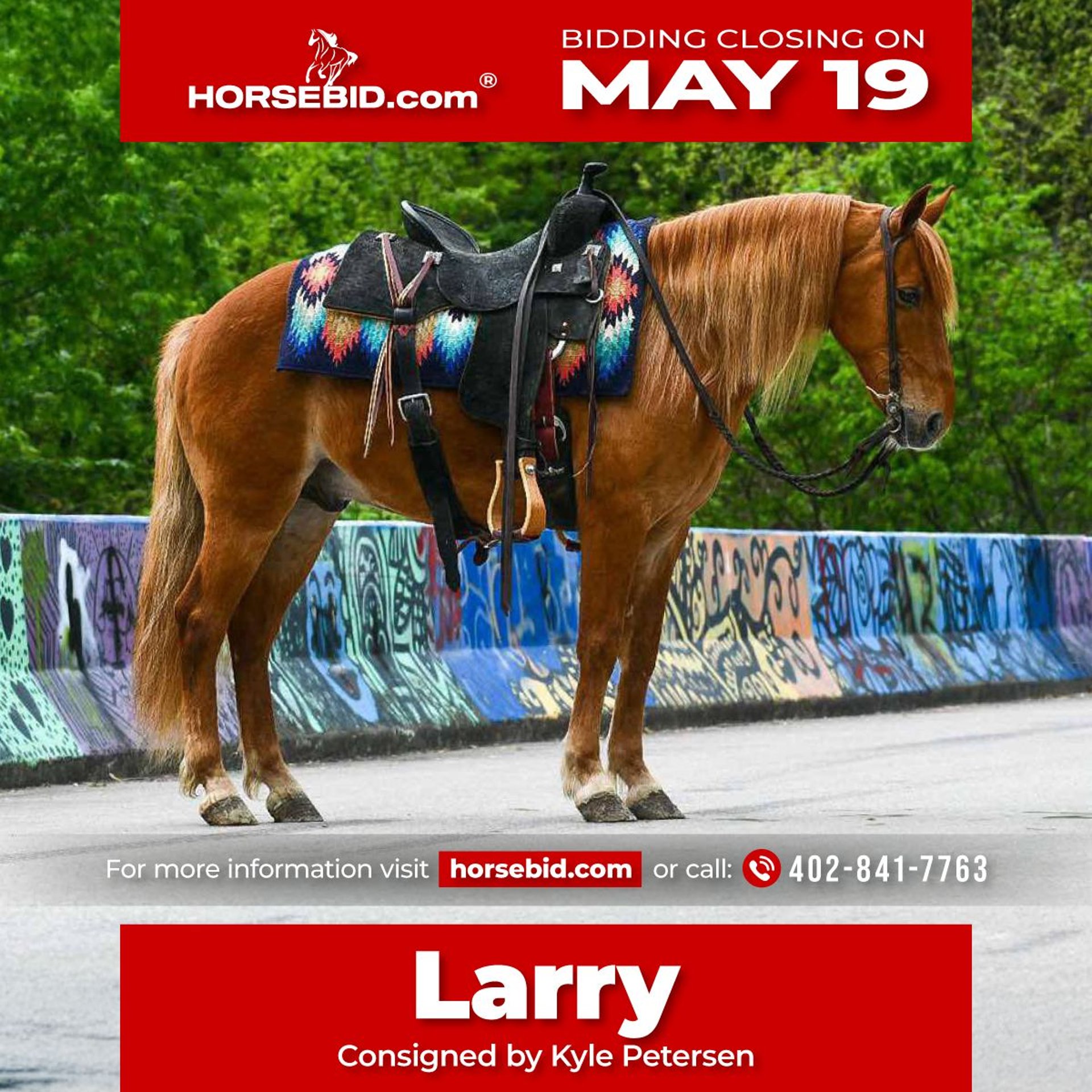 その他 HORSE WITH A BROKEN LEG [CD] Mark Zubeck - Horse With A Broken Leg - Amazon.com Music