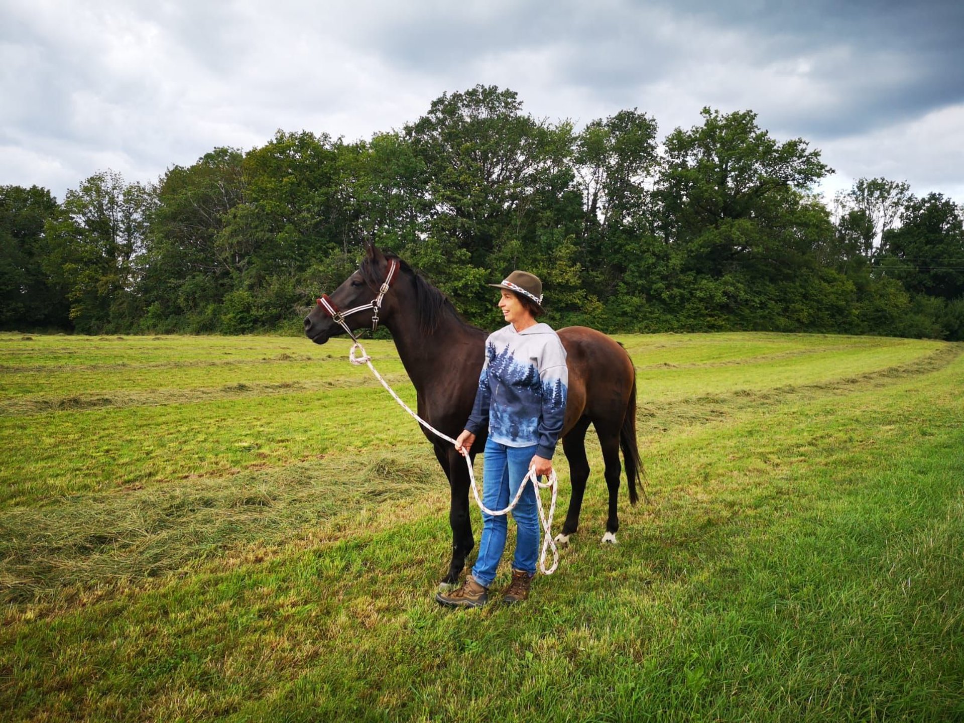 Bonita, Deutsche Reitpony-Verlassstute, im Gelände