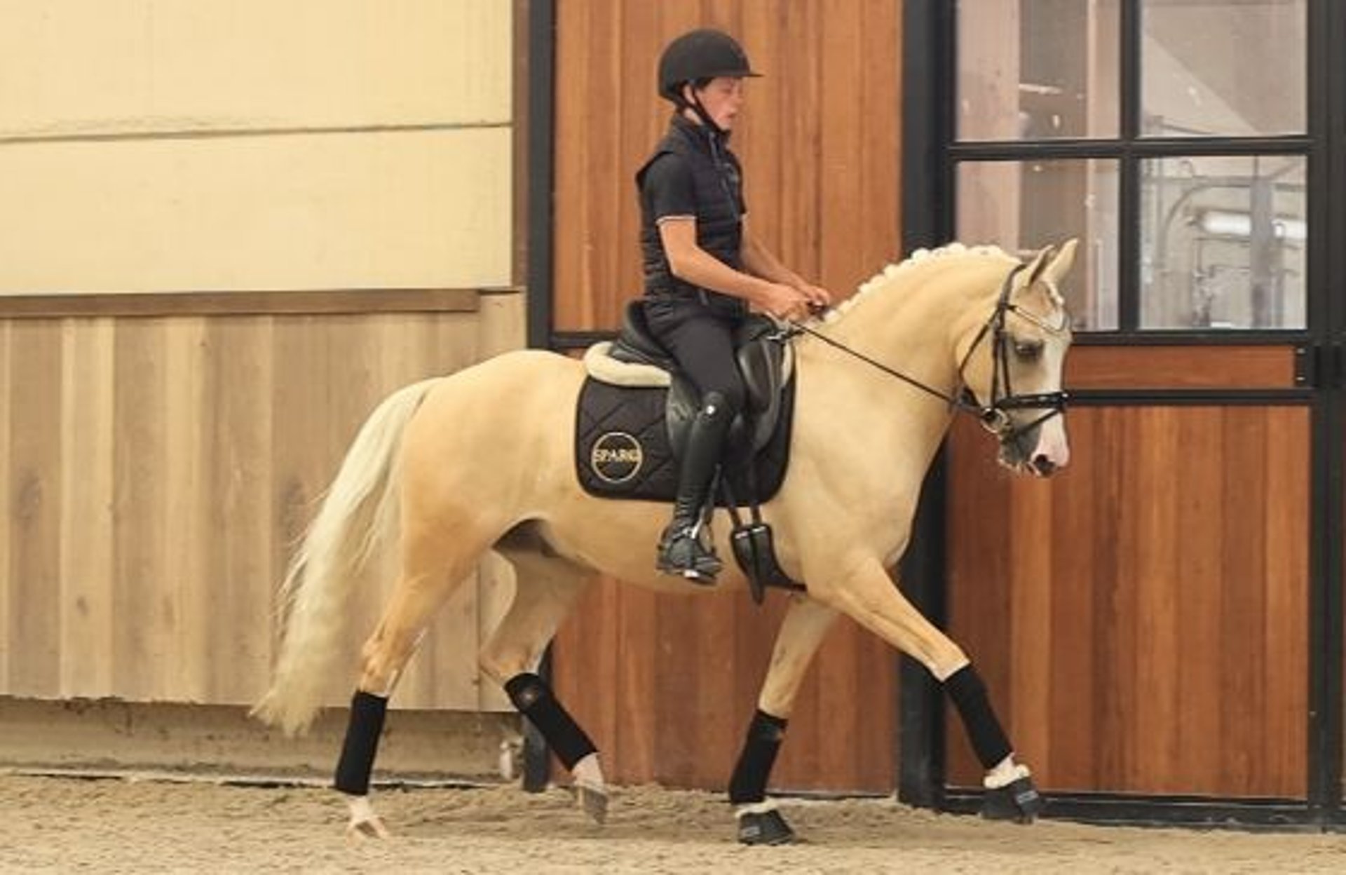 Roderick, Palomino-Wallach – Impression 3