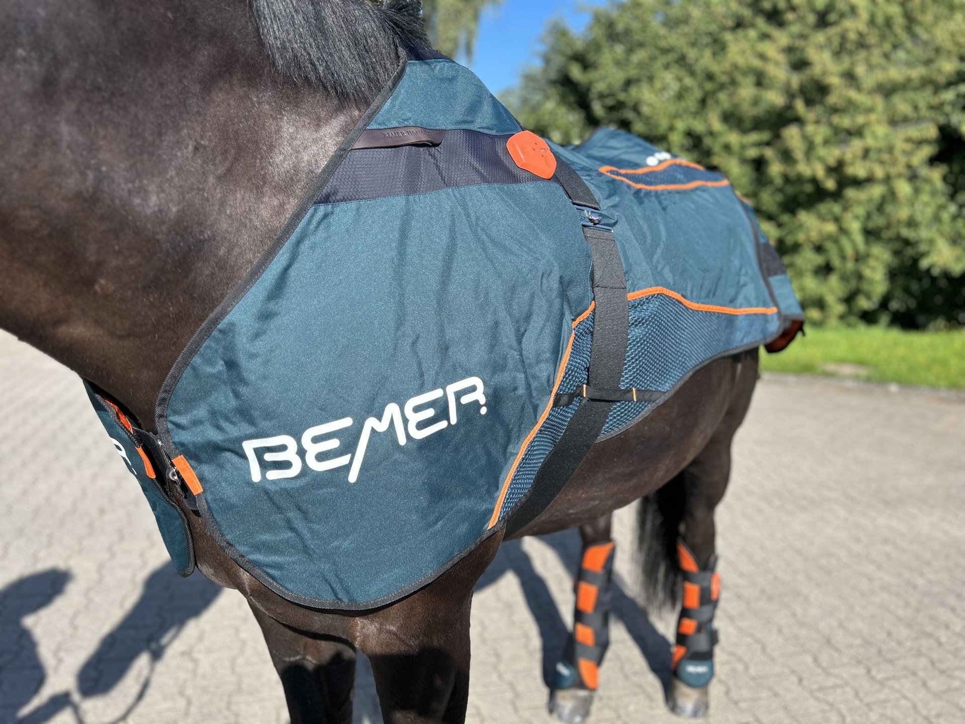 Alle Bemer Horse Artikel neu kaufen