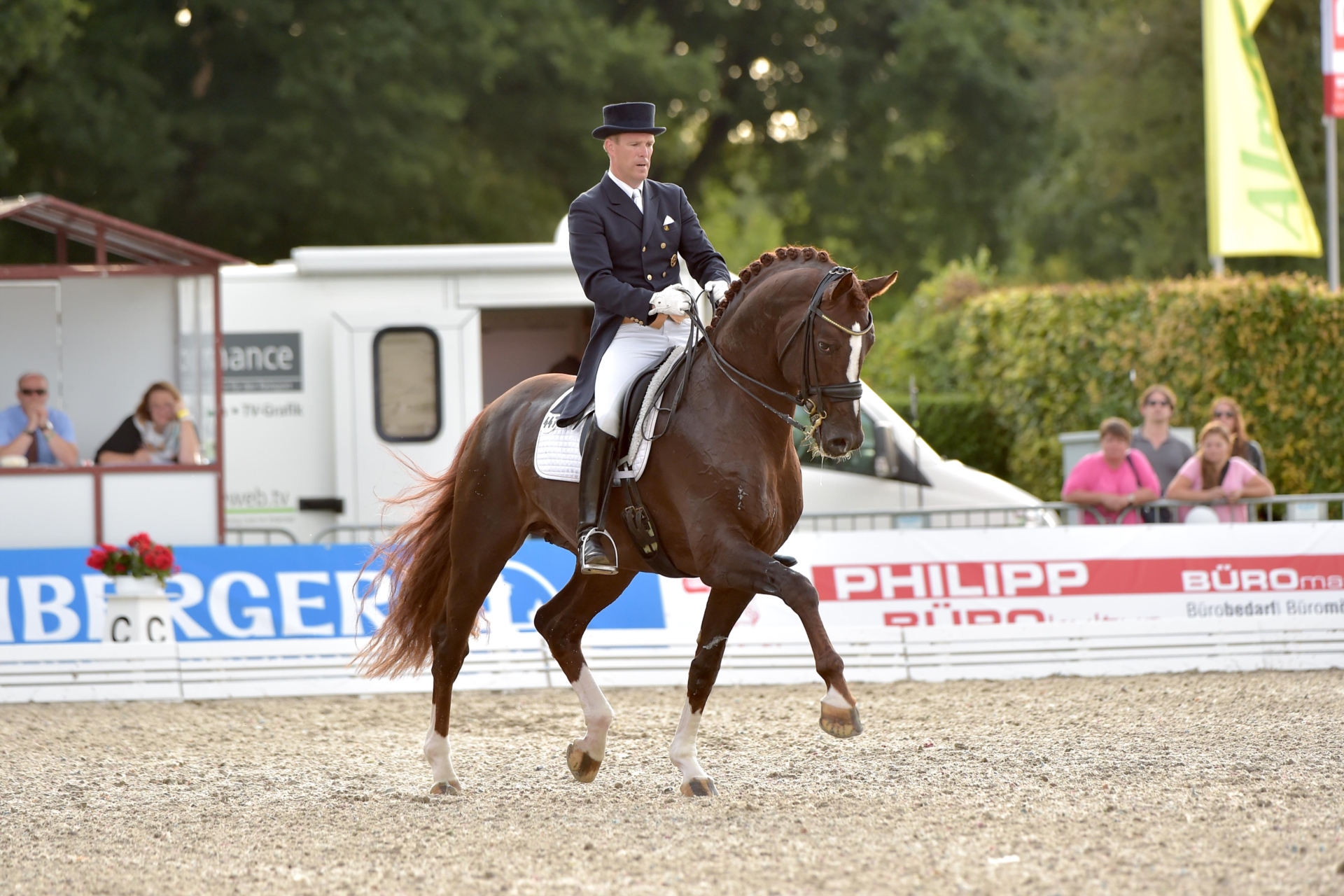 Oldenburg Stallion Chestnut-Red in Lastrup