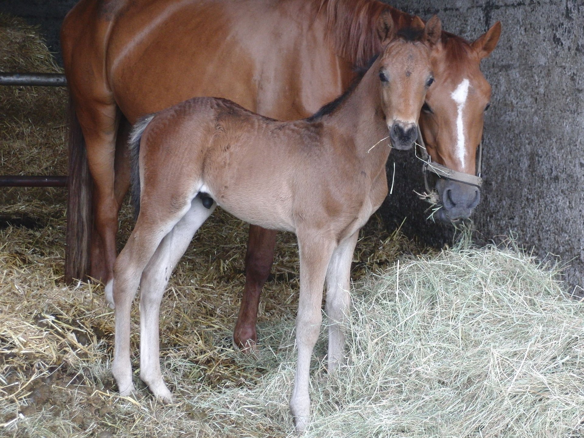 3caaa838-2c71-4d2b-ba44-