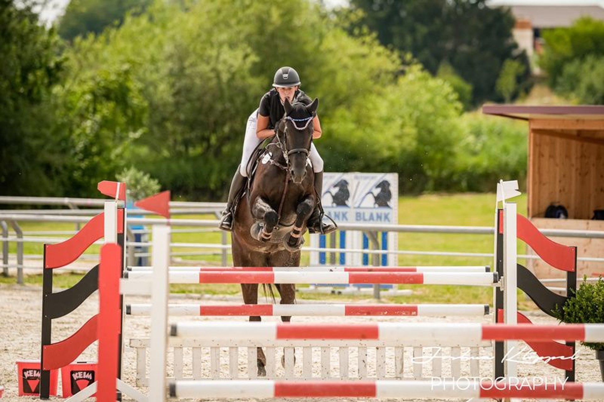 German Riding Pony Ranch German Riding Horse Mare 9 years 16,1 hh Black in Ellwangen (Jagst)