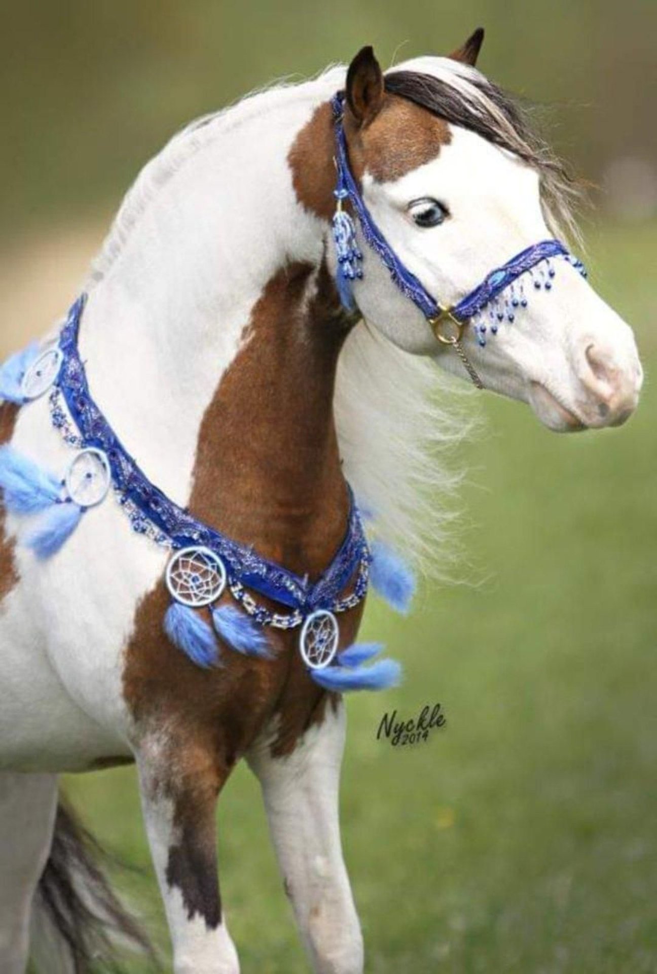 Indiano A Cavallo Modello Uno - Miniatura In Resina Di Guerriero Pellerossa A Cavallo In Tenuta Da Battaglia   Replica Da Collezione Di Guerriero Nativo Americano Che Dorme Sul Suo  Cavallo