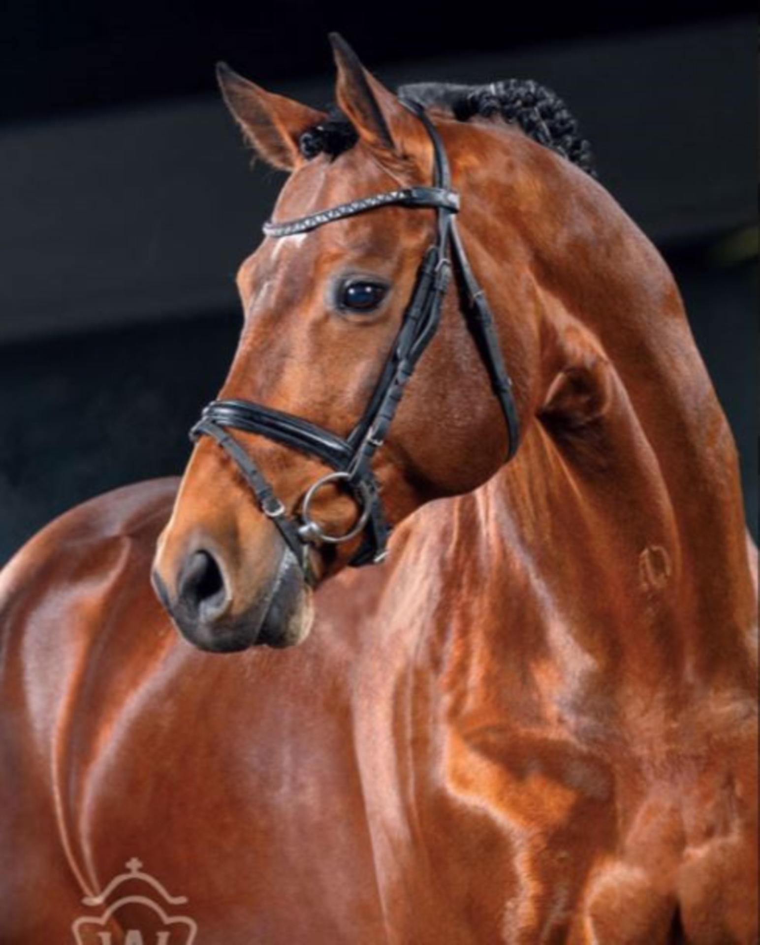 silvester stallion net worth - Ilustrasi 3