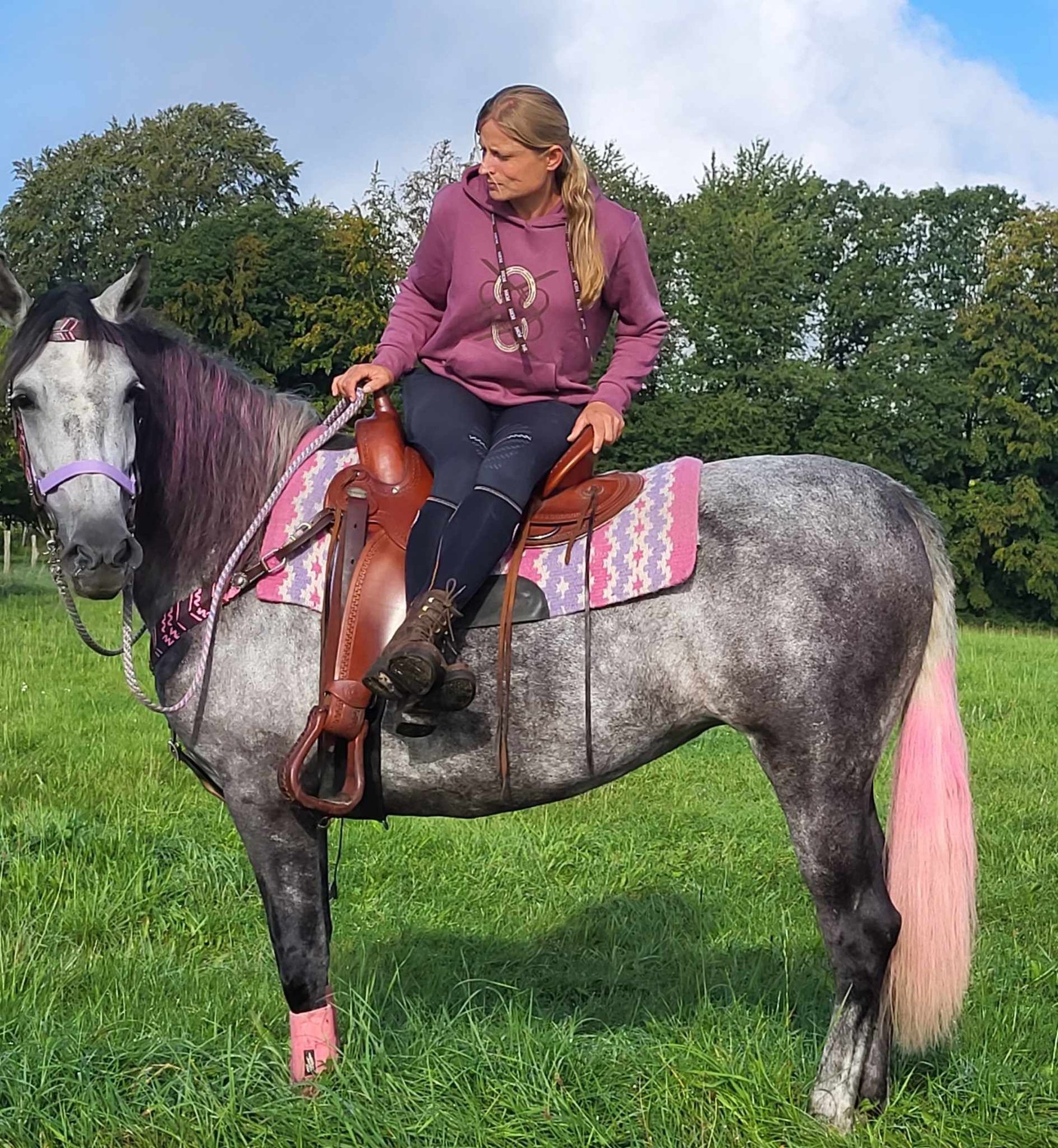 Other Breeds Mare 6 years 15,2 hh Gray-Dapple in Linkenbach