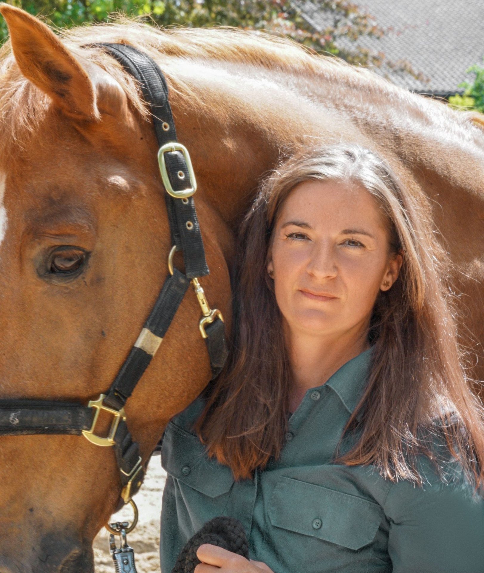 professioneller-reitunterricht-beritt-im-gro-raum-m-nchen-freising