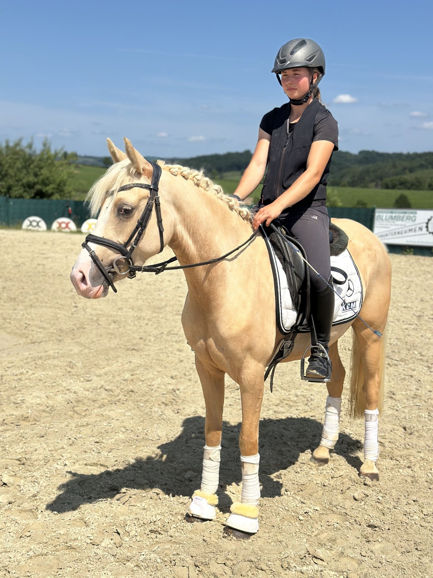 German Riding Pony Ranch German Riding Pony Mare 4 years 14,1 hh Palomino in Lindlar