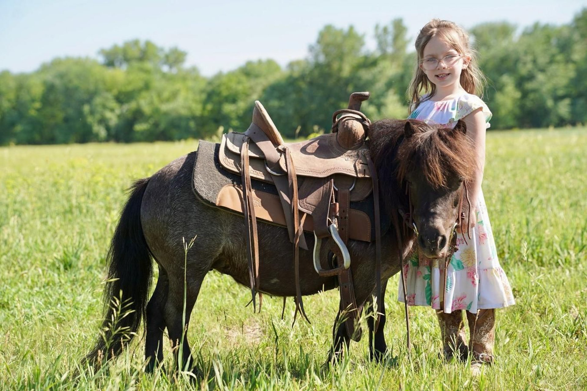 More ponies/small horses Mare 6 years 6,2 hh Roan-Blue in Valley Springs, SD