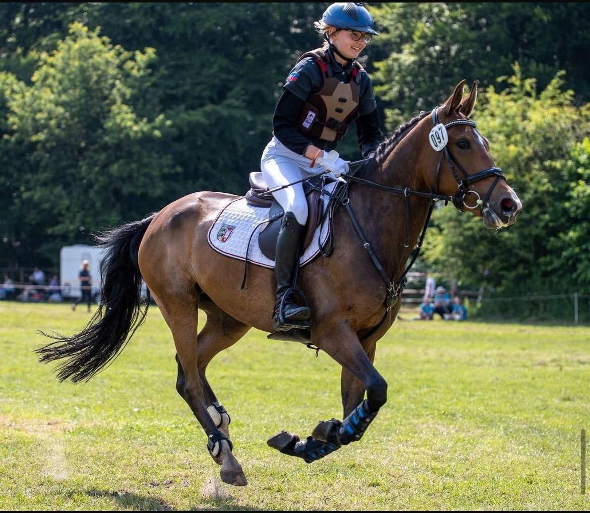 New Forest Pony Mare 11 years 14.1 hh Brown in Jörl