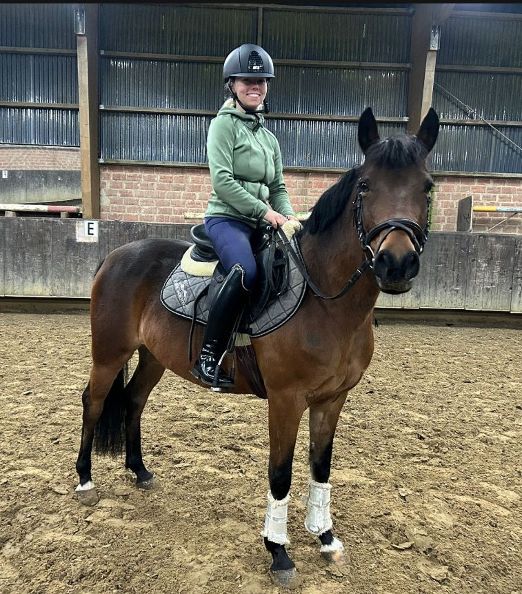 Deutsches Reitpony Stute 13 Jahre 145 Cm Brauner In Emsdetten