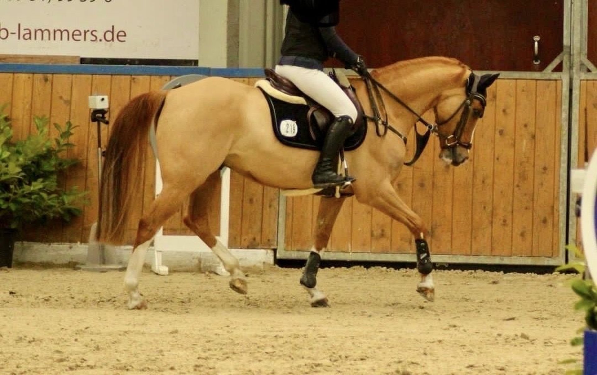 HAMMERSHØI HATJECANTZ 2008年 173P HCドイツ語 Engineer's Hammers by Gedore, Hazet, Picard, Stahlwille - KC