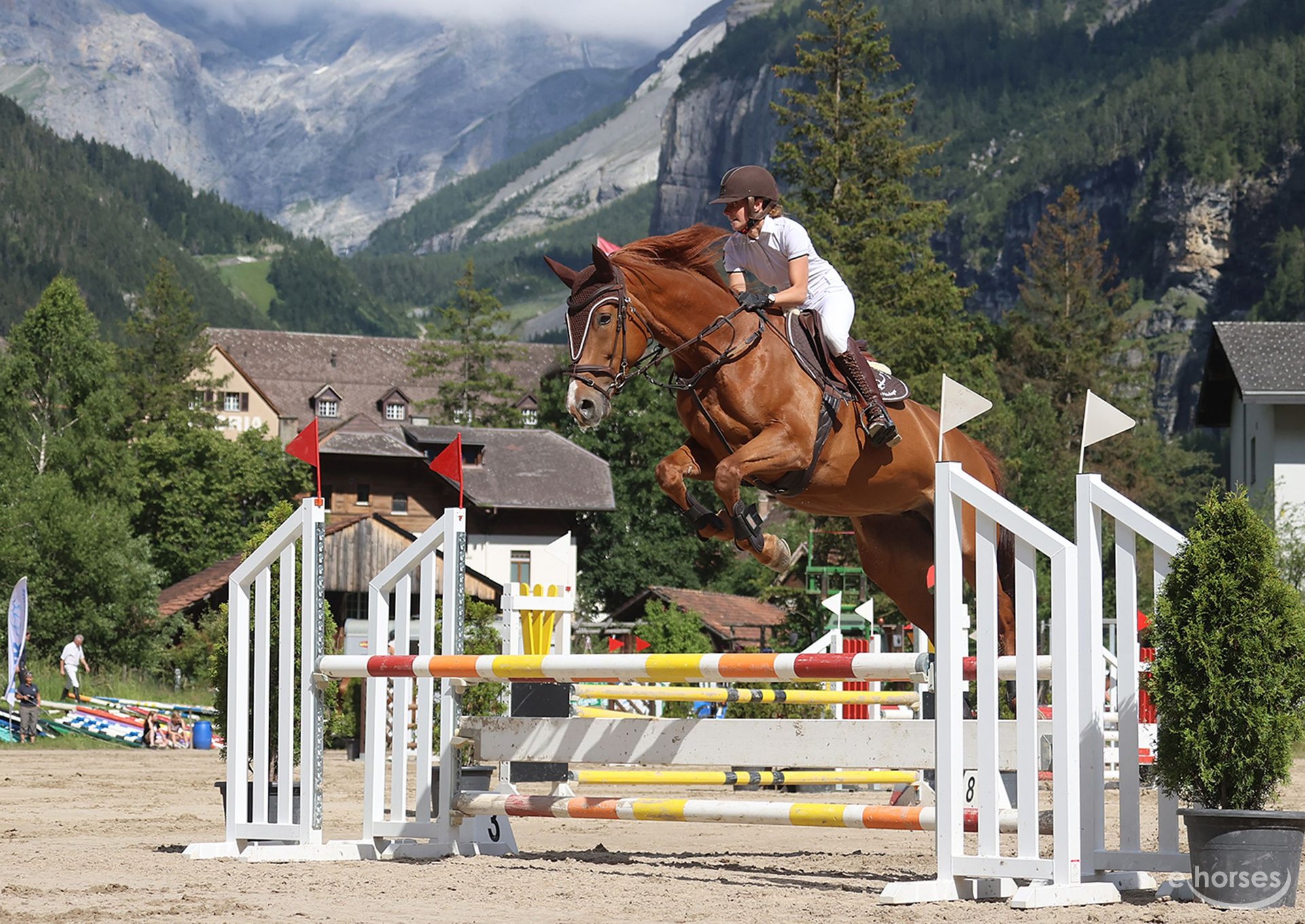 Chambray e frusta da toro completamente fatti a mano in vera pelle  resistente frusta nera, frusta da cavallo intrecciata di lusso perfetta per  il bestiame da lavoro o il crack sportivo