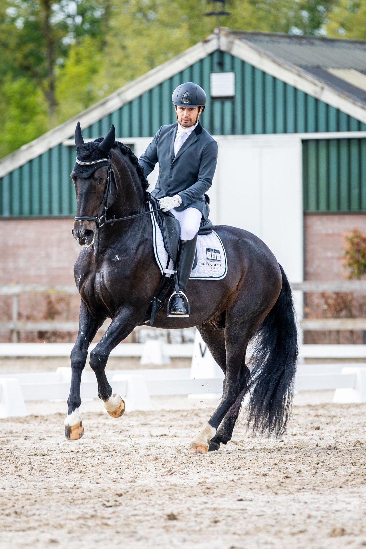 PRE Mix Stallion 6 years 16,2 hh Smoky-Black in Vinkeveen