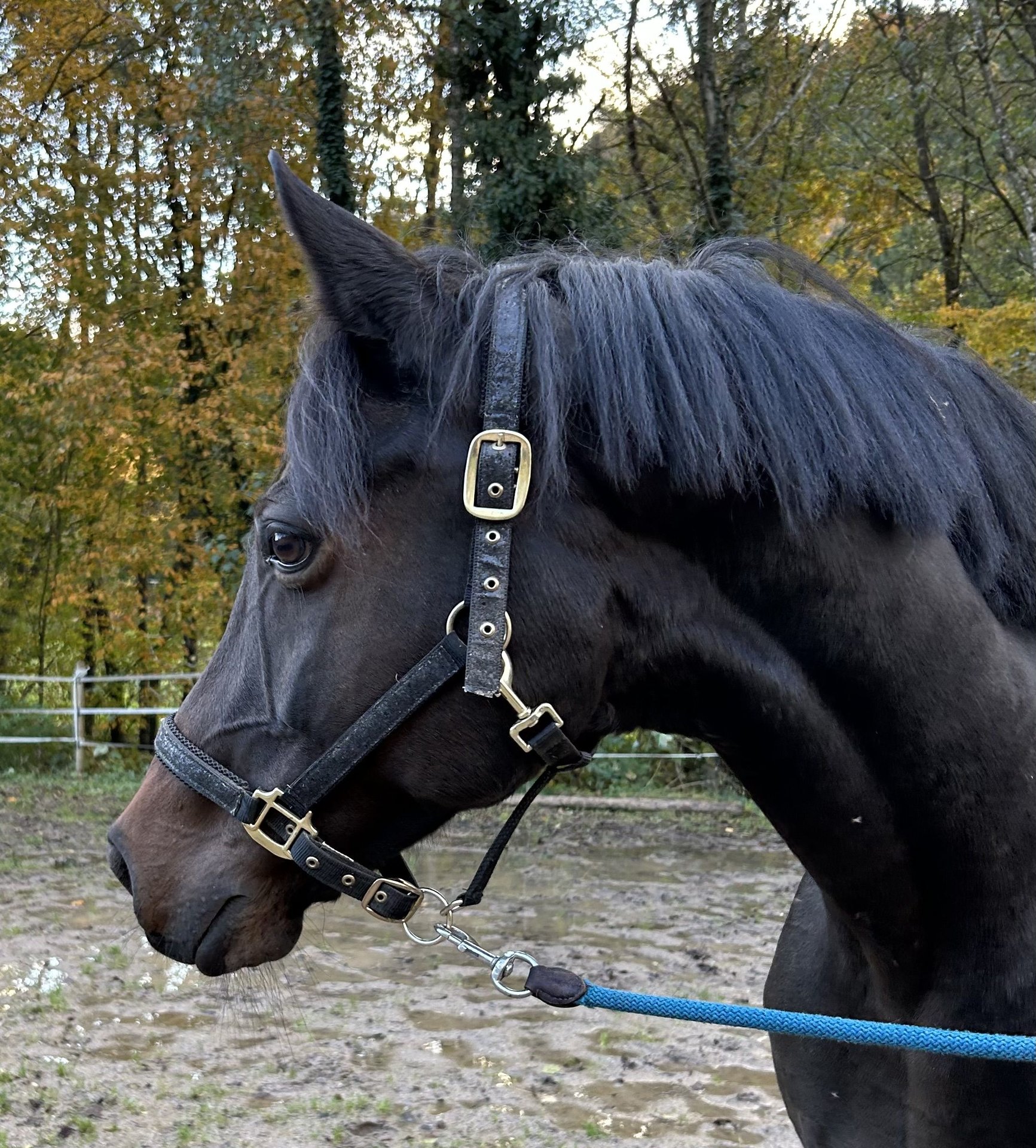 Jinsiy aloqa xizmatlari porno foto Berdichev Uyda yotgan ayol bilan shaxsiy jinsiy aloqa