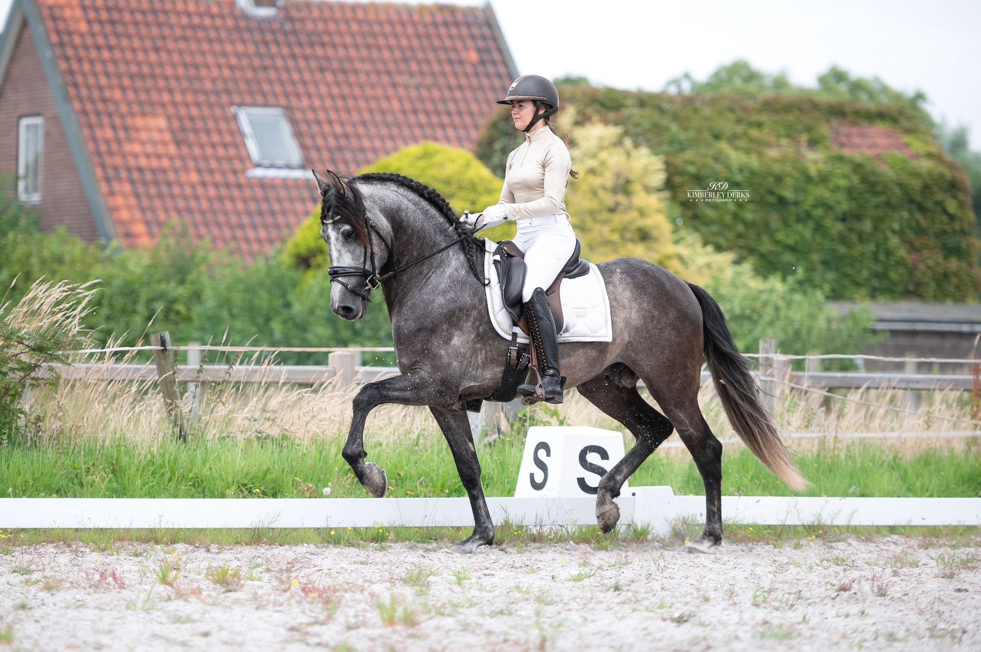 Crafty ponies veulen halster baby blauw - Crafty Ponies - Love Ponies - Official Webshop Crafty ponies veulen halster baby blauw - Crafty Ponies - Love Ponies - Official Webshop