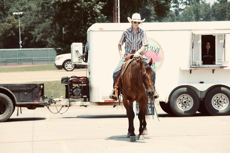 American Quarter Horse Wallach 6 Jahre 150 cm in Carthage