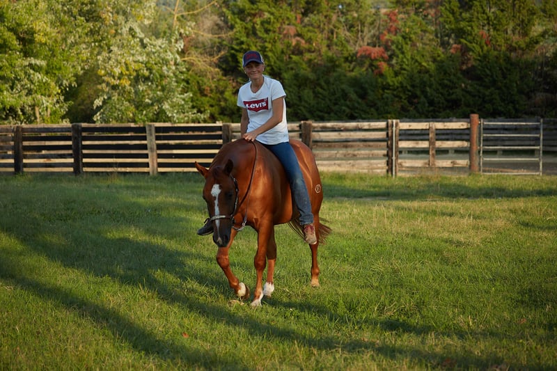 American Quarter Horse, Wallach in München