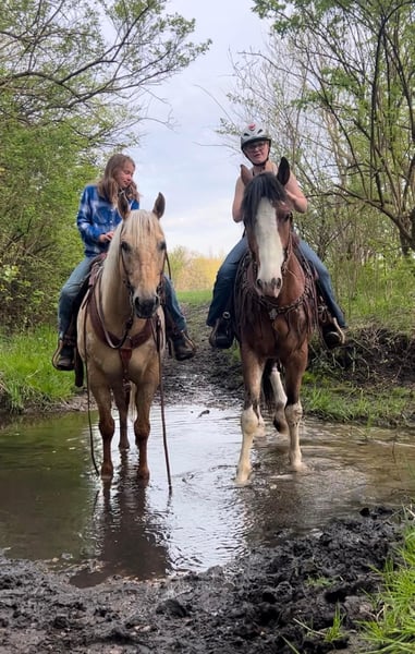 Appaloosa Gelding 12 years 14,3 hh Palomino in Woodstock IL