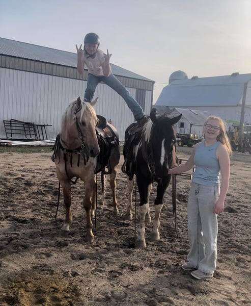 Appaloosa Gelding 12 years 14,3 hh Palomino in Woodstock IL