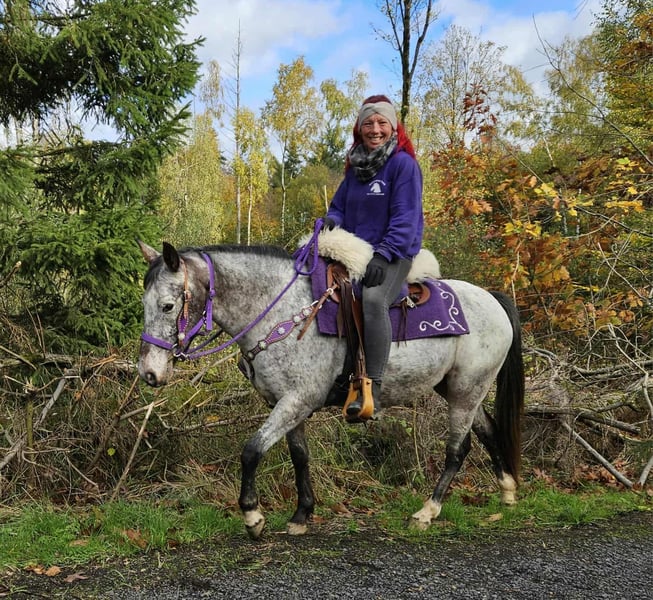Appaloosa, Stute in Linkenbach