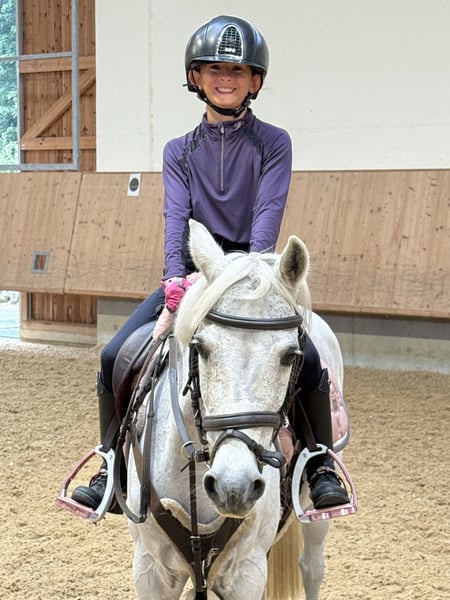 Belgisches Reitpony, Stute in Berg