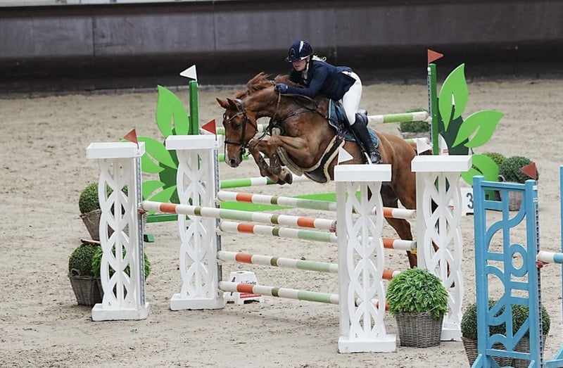 Deutsches Reitpferd, Wallach in Uedem, Keppeln