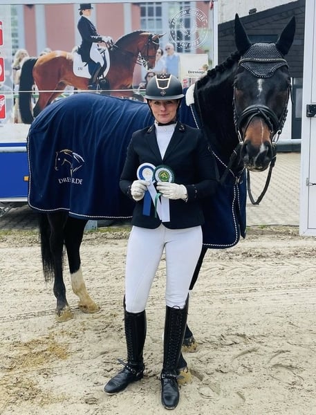 Deutsches Reitpferd, Wallach in Werne