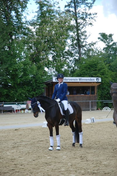 Deutsches Reitpony, Stute in Aspach