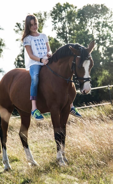 Deutsches Reitpony, Stute in Heringen